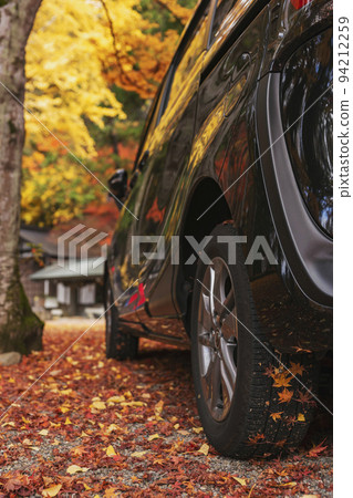 211110Hie Shrine z101 94212259