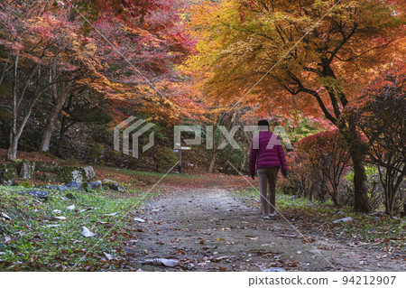 211111城山公園z106 211111城山公園z106 94212907