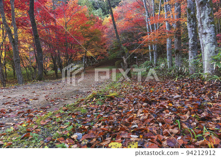211111城山公園z069 94212912