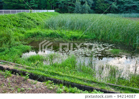 Irrigation pond and its surroundings in the Jike district of Toyama City, Toyama Prefecture Irrigation pond and its surroundings in the Jike district of Toyama City, Toyama Prefecture 94214087
