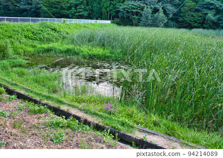 Irrigation pond and its surroundings in the Jike district of Toyama City, Toyama Prefecture Irrigation pond and its surroundings in the Jike district of Toyama City, Toyama Prefecture 94214089
