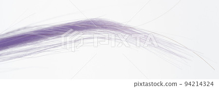 Purple hair strand Purple hair strand 94214324