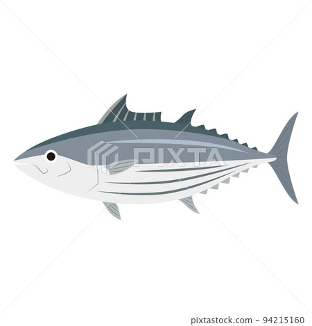 鰹魚的插圖 94215160