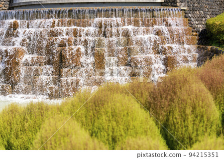 宮城縣川崎町公園風景地膚樹 94215351