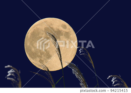 Moon viewing 94215415