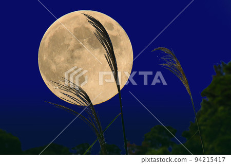 Moon watch 2 94215417