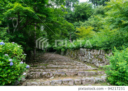 總造寺 總造寺 94217231
