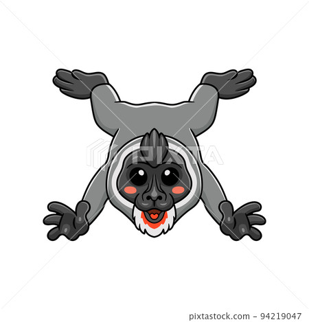 animal, baboon, cartoon 94219047