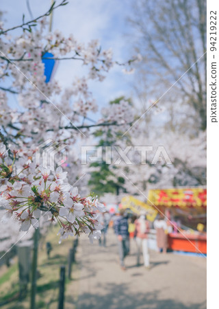 Ueda Castle Ruins Park in spring Ueda Castle Ruins Park in spring 94219222