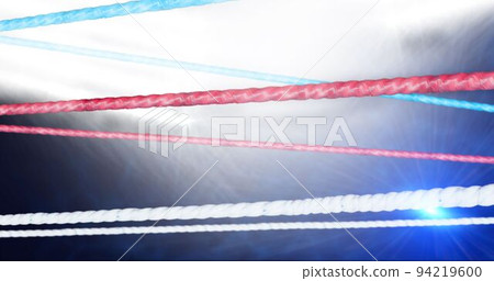 Close up of cords in the boxing ring 94219600