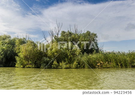 a riverside landscape of Danube delta, Odessa region, Ukraine a riverside landscape of Danube delta, Odessa region, Ukraine 94223456