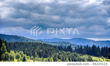 Carpathian forest landscape, Skole Beskids National Nature Park, Ukraine 94224128
