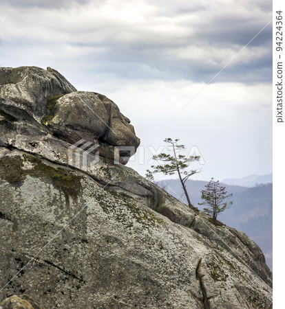 big stone head in the rocks of Dovbush in Ukrainian Carpathian 94224364