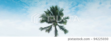 BANNER, LONG FORMAT Atmosphere panorama white cloud sky alone tropical palm tree background summer BANNER, LONG FORMAT Atmosphere panorama white cloud sky alone tropical palm tree background summer 94225030