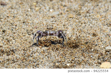 Rice crab Rice crab 94225554