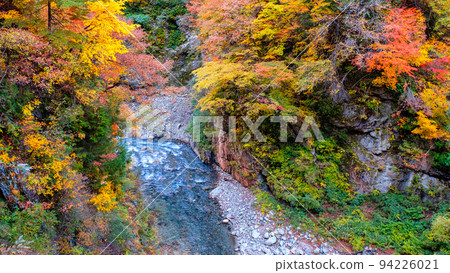 Kurobe Gorge (Autumn) 94226021