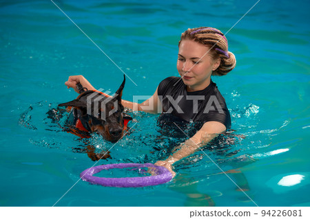 Dog in life jacket swim in the swimming pool with coach. Pet rehabilitation. Recovery training prevention for hydrotherapy. Pet health care 94226081