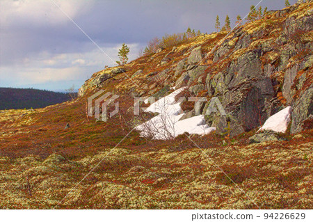 Mountain tundra in Lapland Mountain tundra in Lapland 94226629