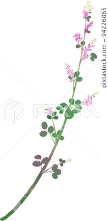 萩花圖 萩花圖 94226865