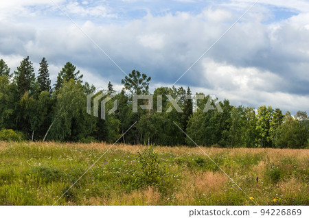 Colorful landscape. Nature of Eastern Siberia. A field with wheat and a meadow with grass. Pine forest on the horizon. Beautiful blue sky with clouds. Colorful landscape. Nature of Eastern Siberia. A field with wheat and a meadow with grass. Pine forest on the horizon. Beautiful blue sky with clouds. 94226869