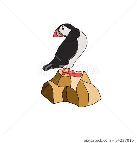 Atlantic dead end. Funny northern bird in cartoon style. 94227010