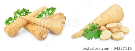 Parsnip root isolated on white background closeup Parsnip root isolated on white background closeup 94227116