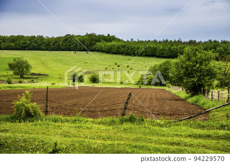 arable field and meadow in Ukrainian village arable field and meadow in Ukrainian village 94229570
