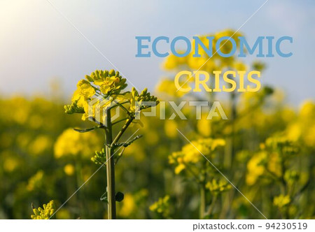 Text ECONOMIC CRISIS against defocused agriculture field message. Global hunger, food crisis, inflation, high prices, increasing living expenses and poverty, financial crisis concept illustrating food Text ECONOMIC CRISIS against defocused agriculture field message. Global hunger, food crisis, inflation, high prices, increasing living expenses and poverty, financial crisis concept illustrating food 94230519