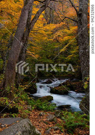 奧入瀨山間溪流在深山秋色 奧入瀨山間溪流在深山秋色 94232666