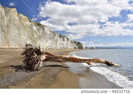 Shoot the scenery of driftwood and sandy beach on the coast of Otobe-cho, Hokkaido in early autumn 94232738