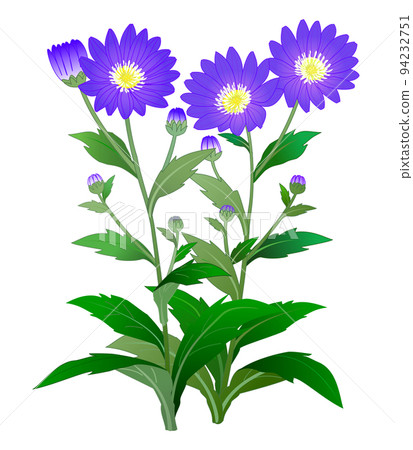 Wild Grass Miyako Wasure 94232751