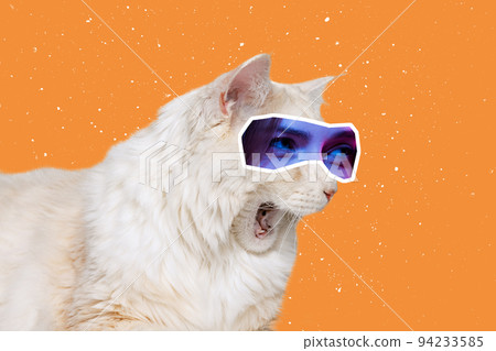 Meow loudly. Big white cat with human eyes expressive different emotion isolated over orange background. Animals with human facial expression Meow loudly. Big white cat with human eyes expressive different emotion isolated over orange background. Animals with human facial expression 94233585