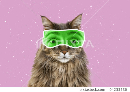 Shock. Creative portrait of cute cat with human eyes expressive different emotion isolated over pink background. Animals with human facial expression Shock. Creative portrait of cute cat with human eyes expressive different emotion isolated over pink background. Animals with human facial expression 94233586