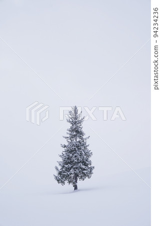 北海道的雪景 北海道的雪景 94234236