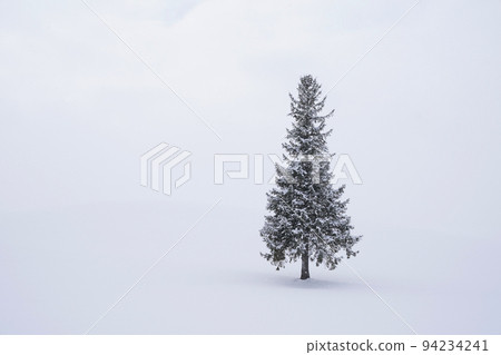 北海道的雪景 94234241