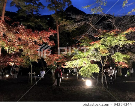 Nagatoro night view 94234344