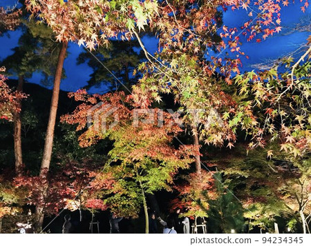 Momiji's light up Momiji's light up 94234345