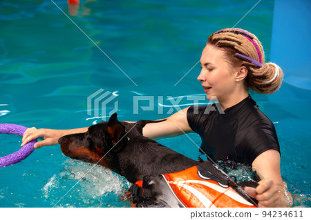 Dog trainer at the swimming pool, teaching the dog to swim. Dog trainer at the swimming pool, teaching the dog to swim. 94234611