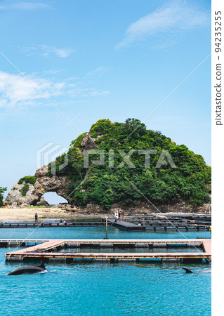 和歌山鯨魚博物館 鯨魚和海豚的繁殖區 94235255