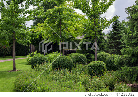 trimmed green deciduous bushes in backyard garden bed, park landscaping with mulching plants with turf lawn with pine trees on sunny summer day parkland eco friendly theme backdrop, nobody. 94235332