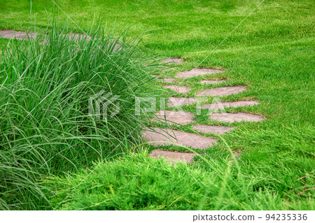 rough different shapes of natural stone footpath paved in green backyard lawn, curved overgrown of green grass garden walkway landscaping with botanical decorative plants, nobody. rough different shapes of natural stone footpath paved in green backyard lawn, curved overgrown of green grass garden walkway landscaping with botanical decorative plants, nobody. 94235336