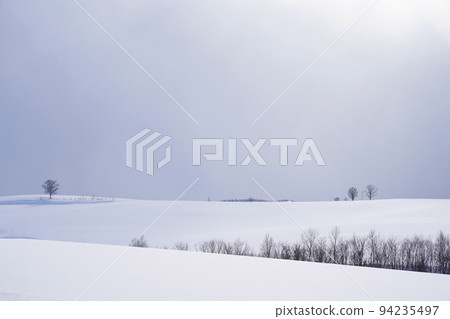 北海道的雪景 北海道的雪景 94235497