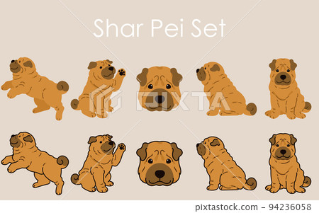 Simple and cute Shar Pei illustration set with/without main line 94236058
