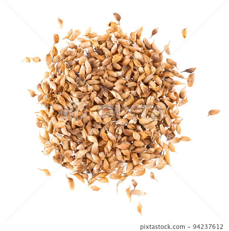 Utsho suneli seeds isolated on white background. Trigonella caerulea or blue fenugreek. Spices and herbs. Top view. Utsho suneli seeds isolated on white background. Trigonella caerulea or blue fenugreek. Spices and herbs. Top view. 94237612