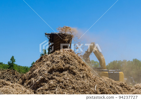 As part of the preparation for a housing development, a shredder machine is used to shred the roots of the trees into chips with an industrial shredder 94237727