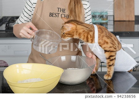 A woman in an apron and a cat are preparing pizza dough. A woman in an apron and a cat are preparing pizza dough. 94238656