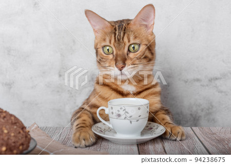 Funny kitty with a mug of milk and oatmeal cookies. 94238675