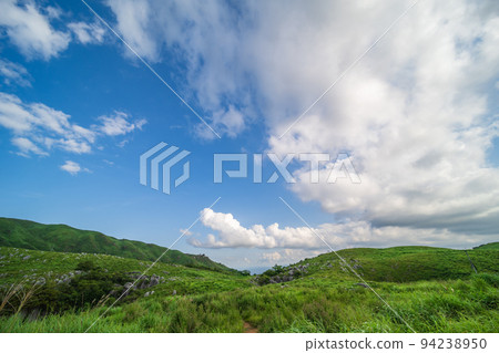 初夏的平尾台，蔚藍的天空[福岡縣北九州市] 94238950