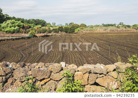 A large, well-manicured field with stone walls A large, well-manicured field with stone walls 94239235
