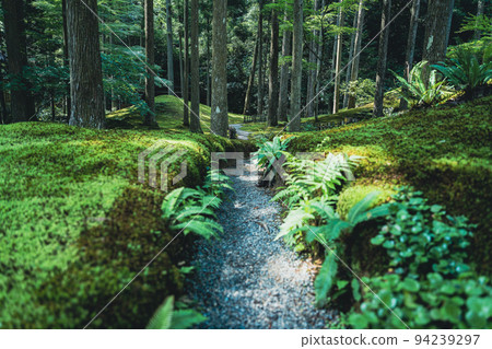 Moss no Sato Moss no Sato 94239297